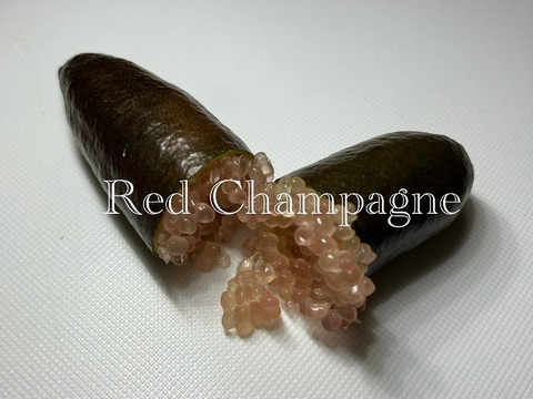 2品種特定 フィンガーライム 計50ｇ（各4～5個）
品種名：コレット（果肉色：緑）＆レッドシャンパン（果肉色：淡いピンク）。手巻き寿司/鰻/焼肉/BBQ等のホームパーティーの味変と話題作りに。