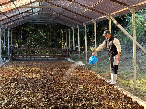 農家直送　特別栽培米  新米２０２５『ミネアサヒ』 令和７年産 １０キロ