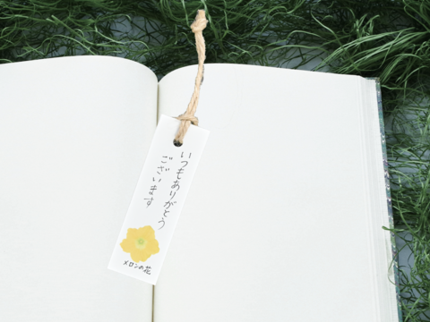 【母の日ギフト】1玉箱入りマスクメロン