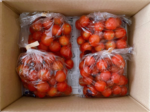 【家計応援キャンペーン!!】甘みと酸味のバランスが抜群!!ミニトマト【1kg】