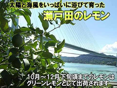 レモン訳あり 1kg 広島 家庭用 瀬戸田産 ノーワックス 防腐剤不使用 有機肥料使用 グリーンレモン