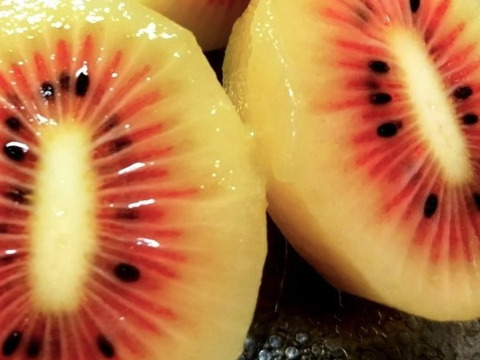 体が喜ぶ！自然農法　Vitalキウイフルーツ　紅妃（小玉）農薬・肥料不使用　1ｋｇ