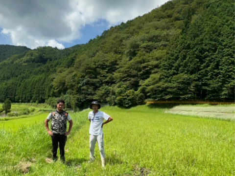 農家直送 新米２０２５『夢しずく』 令和７年産 １０キロ