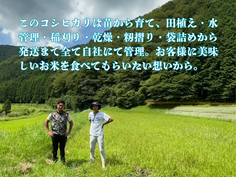 農家直送  特別栽培米  新米２０２５『コシヒカリ』 令和７年産 ２キロ