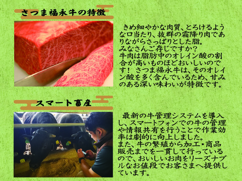 「さつま福永牛」ミンチ肉（250g）× 4パック「熨斗対応可」
