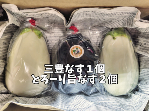 とろける茄子2種セット◆三豊なす＆とろーり旨なす