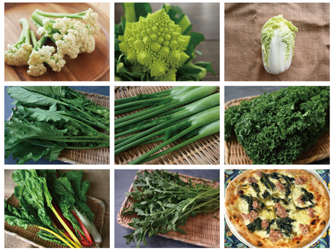 【月・金曜発送便】ココロ躍る🌈おまかせ野菜セット【さいたま市産】