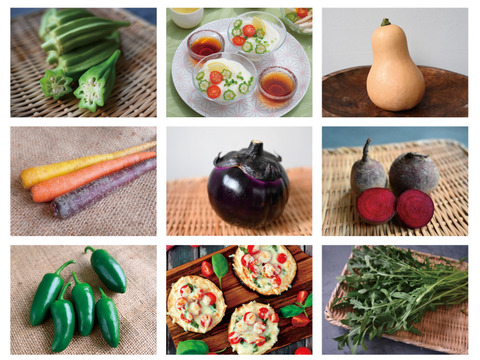 月・金曜発送便】ココロ躍る🌈おまかせ野菜セット＊珍しいヨーロッパ