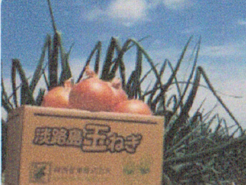 淡路産 新玉葱 ５Kg 箱入り　　サラダで美味しい