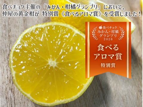 食べるアロマ賞！3/28より順次発送【傷あり】奇跡の果実『黄金柑』ゴールデンオレンジ 2kg あふれる果汁とさわやかな甘み 黄蜜柑 仲屋 海瀬農園