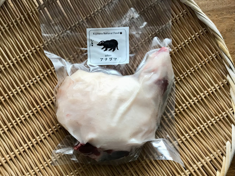 希少✨「アナグマ肉【モモ（骨付き）】680gブロック」221004-9 フレンチで人気のジビエ！