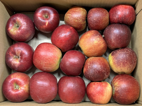 【加工用バラ詰め】紅玉＆秋映!! ハーフ スイーツ、お菓子、加工用・業務用🍎約2.7Kg青森県産