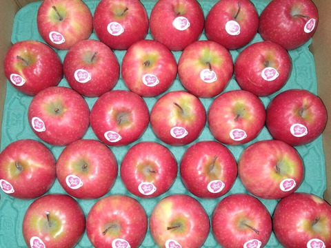 キュンとくる酸味りんご❗　ピンクレディー® 箱含め5キロ箱（20個から25個）