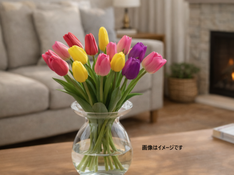 フラワーファームしろねのチューリップ切り花 20本アソートセット(5本束×4品種)※北海道・沖縄県配送不可※