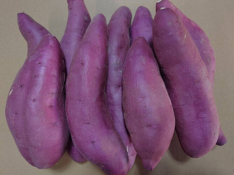 鳥取大山の麓　紅はるか5kg(大小詰め合わせ) 　女性のパワーで大地を彩る