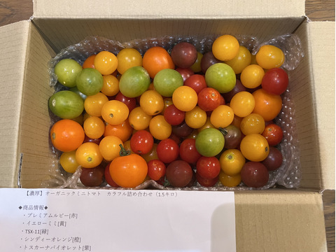 長野県産直 ミニトマト 約5kg バラ 甘くて味が濃い 長野県産直 ミニトマト 約5kg バラ 甘くて味が濃い - メルカリ
