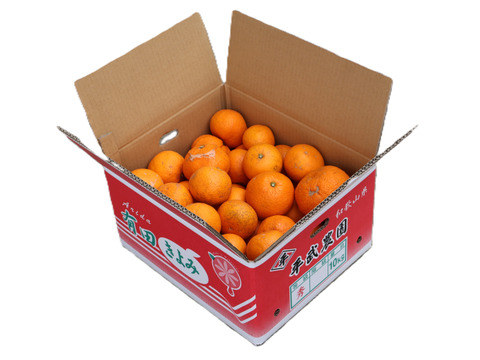 農家直送！きよみオレンジ　訳あり10kg  【平武農園】〜蛍飛ぶ町から旬の便り〜　和歌山｜有田｜田口｜ギフト