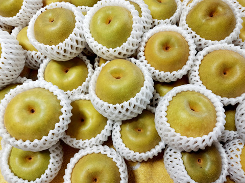 梨　品種おまかせ家庭用３kg