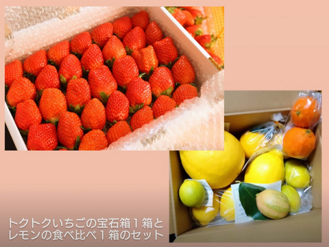 トクトク🍓いちごの宝石箱１箱と
レモンの食べ比べ１箱のセット
【いちご食べ比べ】
【レモン食べ比べ】