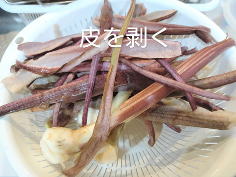 ズイキ ずいき（里芋の葉柄の部分になります）🌿60サイズの段ボールに合わせて約25cmに切ったもの、10本のお届けになります🏣 ※乾燥したものではありません。※常温発送