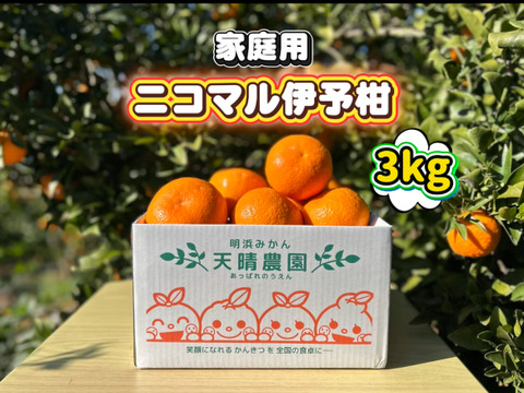 🍊香り推し🍊伊予柑　家庭用 3kg