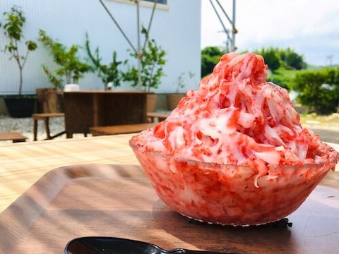 静岡限定品種！冷凍いちご　きらぴ香　２ｋｇ