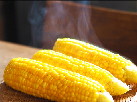 6/15〜発送！【夏食べ比べギフト】A品大箱『ドルチェドリーム5本と味来プレミアム5本入り』鮮度保持フィルムで全国発送でも採りたてのトウモロコシを！＜食べチョクプロデュース商品＞