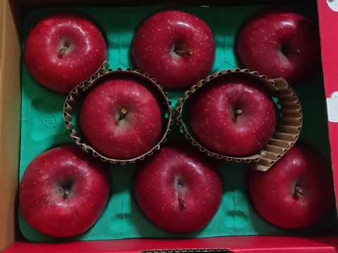 【蜜入保証】【サンふじ】（2kg・9～10個入り）パリパリ・ジューシーお得な家庭用