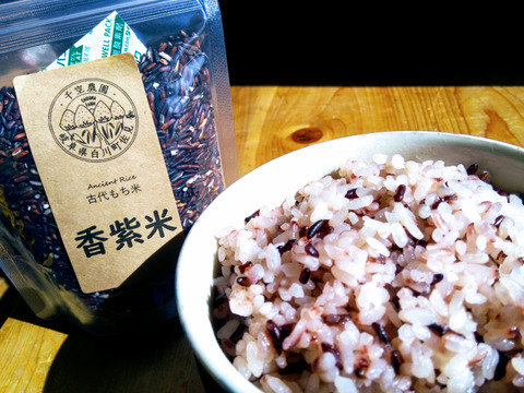 古代もち米「香紫米」★お試し180g★