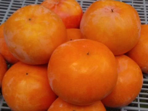 [甘柿の季節】富有柿MＬ混在(4㎏)和歌山産