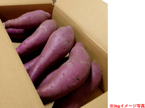 鳥取大山の麓 甘い芋 紅はるか 強めのホクホク食感 大小詰合せセット 内容量3.0kg 女性のパワーで大地を彩る