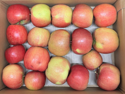 【在庫限り!!】「訳あり・お買い得!!バラ詰めのこうとく !! 」約３Kg青森県産 数量限定 高徳 りんご『話題のリンゴはここみつけたら即買いをお勧めします!!』なるべく蜜入り 有識者が選びました