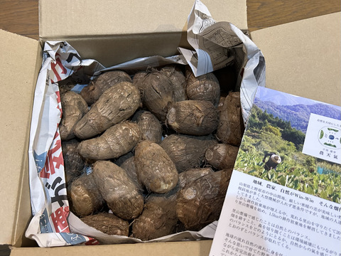ねっとりとした！上野原の自然あふれる里山育ちの里芋1.8Kg