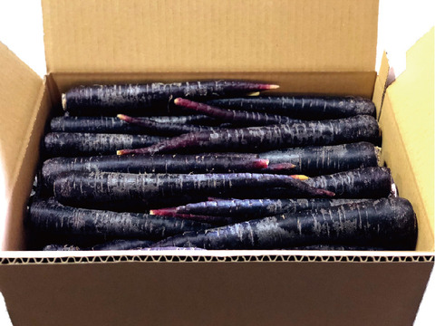 旬彩オーガニック人参食べ比べセット