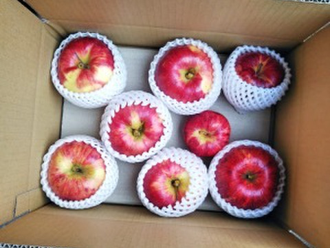 栽培期間中肥料・農薬を使っていないリンゴ「未希ライフ」約３キロ（６〜10個）
少量のためなくなり次第終了