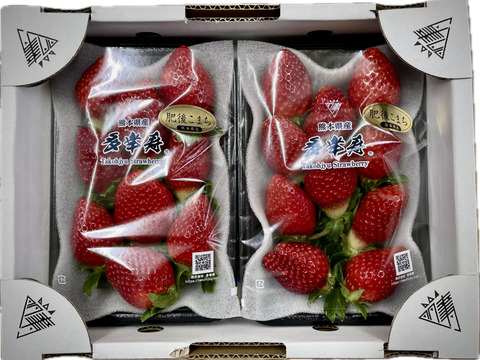 🥇いちごグランプリ金賞受賞！希少品種！『肥後こまち』ご家庭用パック 250g×2p
