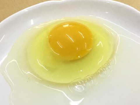 【期間限定！】熊本県南阿蘇村の自社農場で育てた平飼い卵をたっぷり使った『マドレーヌ』と「青い卵」のセット