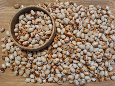 北海道十勝産【栗豆・虎豆・大福豆】よりどり合計870gセット＊組み合わせ自由＊令和7年度産