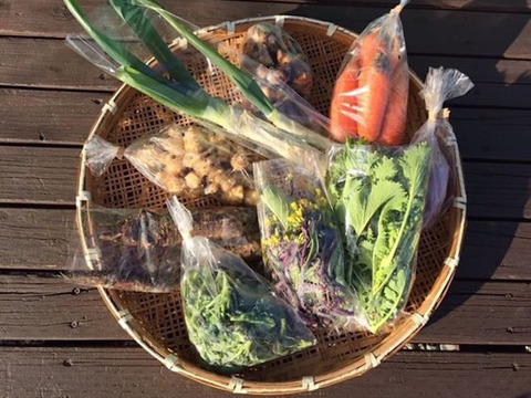 富士山麓、自然栽培冬野菜（５～６品）＋手前味噌（500g）+白米（２kg)