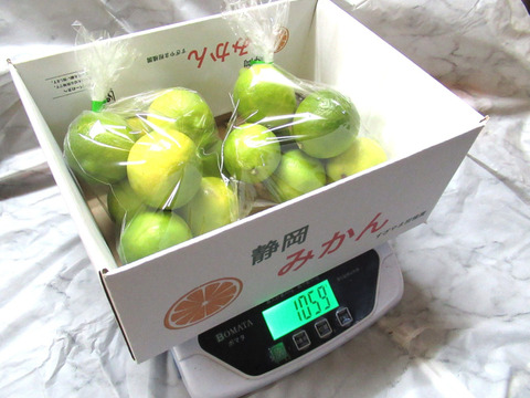 爽やかな香りで果汁たっぷり！ライム　1㎏　静岡県より産地直送