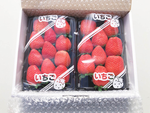 《ほっぺがおちる⁉美味しいイチゴ♪》紅ほっぺ300g×2パック【埼玉県羽生市産】