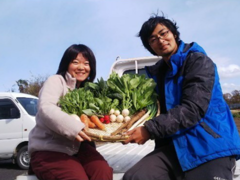 新鮮！旬の野菜セット【Lサイズ : 約7～8kg】【15品目】農薬・化学肥料不使用