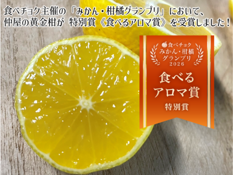 柑橘グランプリ 食べるアロマ賞！奇跡の果実『黄金柑』ゴールデンオレンジ 2kg あふれる果汁とさわやかな甘み 黄蜜柑 仲屋 海瀬農園