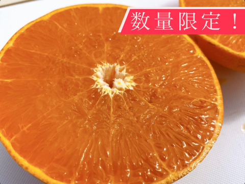 【甘くて濃厚】柑橘の大トロ　せとか　ご家庭用　10.0ｋｇ