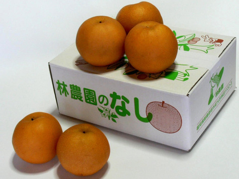 豊水梨(家庭用)約2.5kg(6〜7玉)