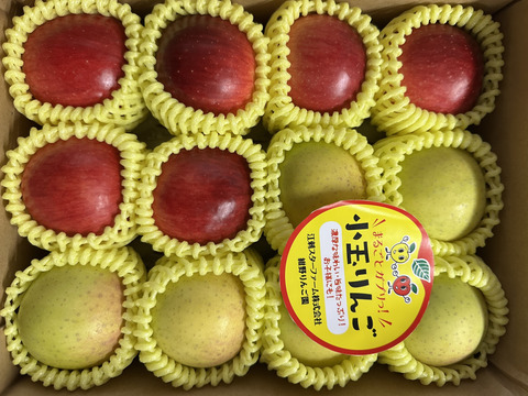 まるごとガブリっ！奥州ロマン入り☆小玉・食べきりサイズMIXりんご岩手江刺産