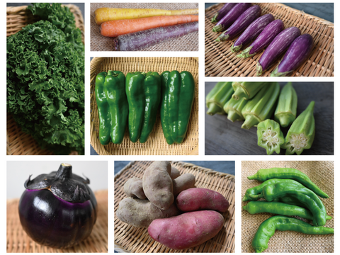 月・金曜発送便】ココロ躍る🌈おまかせ野菜セット【さいたま市産