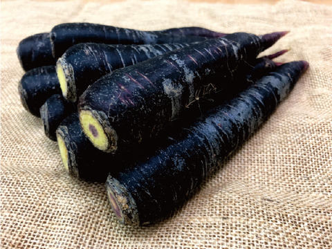 旬彩オーガニック人参食べ比べセット