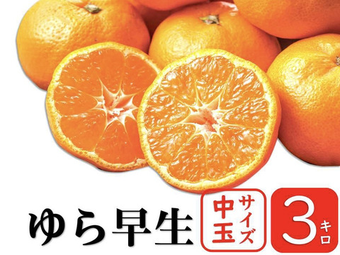 果汁たっぷり、この味衝撃！　ゆら早生　由良【中玉　3kg】
