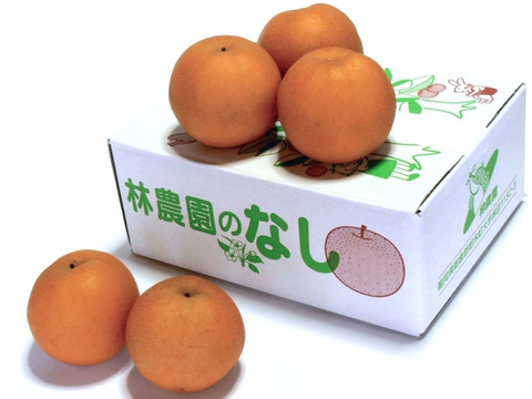 幸水梨 約2.5kg(6〜8玉)